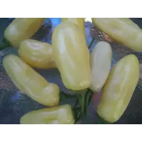 Семена перца острого Habanero Ivory